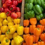 فلفل دلمهای ایران